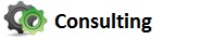 Consulting
